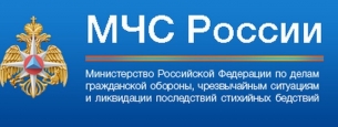 Соглашение о сотрудничестве между МЧС России и ВДПО