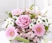 ������������ � ���� �������� ������������ ���� ���� ������� �.�.