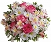 ������������ � ���� �������� ������������ ������ ����������� ���������������� ��������� ���� �������� �.�.