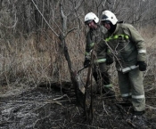 В Свердловской области добровольные пожарные тушат травяные палы