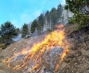 Добровольцы ВДПО участвуют в профилактических мероприятиях по выжиганию пожароопасной травы