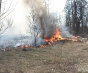 В Курской области пожарные-добровольцы потушили пожар на болоте