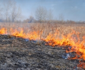 Пожарные и добровольцы борются с загораниями сухой травы