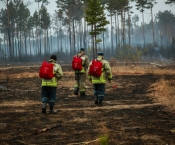 Обучающий семинар: добровольцы повышают навыки пожаротушения