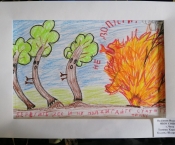Заочный конкурс «Лесные пожары» среди дружин юных пожарных прошел в Забайкалье