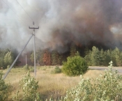 Санаторий в Лискинском районе спасли во время крупного лесного пожара
