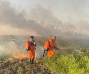 Добровольцы участвуют в тушении масштабных пожаров 