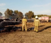 Тамбовские добровольцы потушили пожар на животноводческой ферме