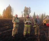 Добровольная пожарная команда Тамбовской области самостоятельно ликвидировали загорание сухой растительности