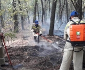 Добровольцы Цимлянского района вышли на помощь пожарным