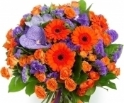 ������������ � ������� ������������ ������ ���������� ���������������� ��������� ���� �.�. �������