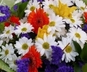 ������������ � ������� ������������ ������ ����������� ���������������� ��������� ���� �.�. ��������